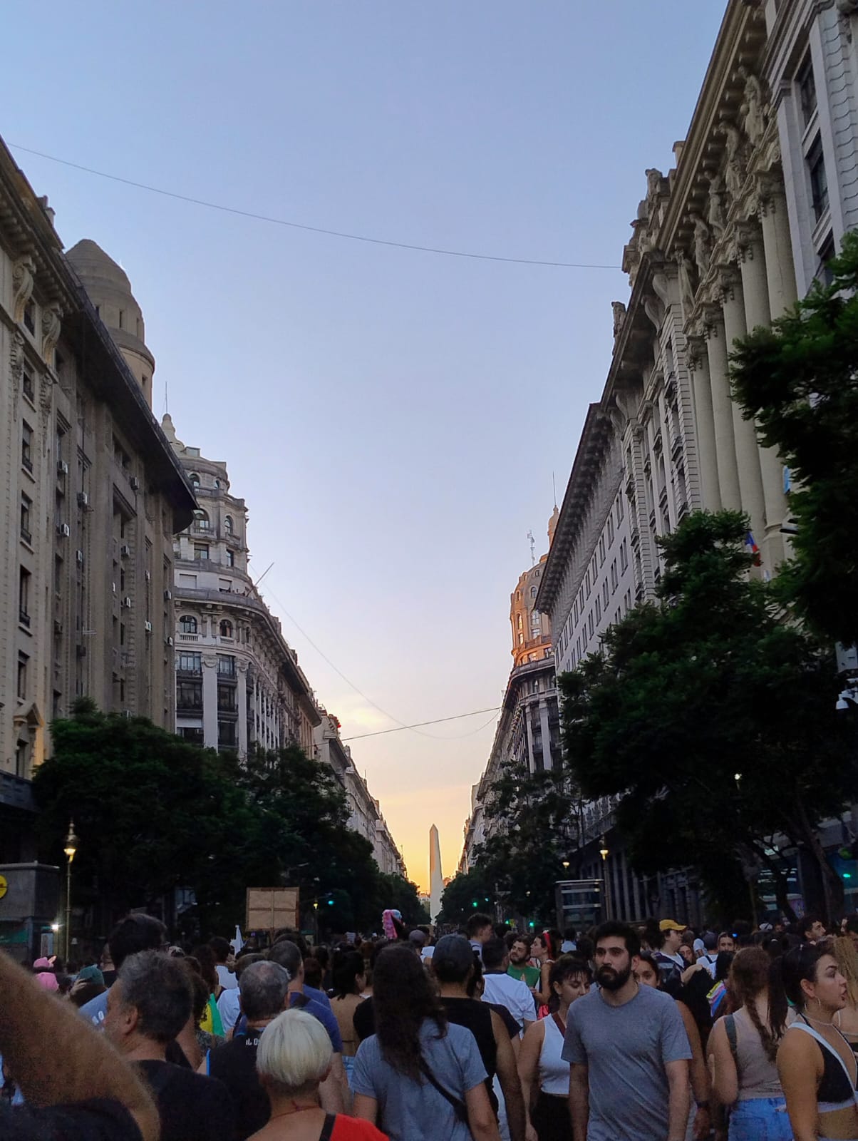 Anti fascist march. Image Credit: Facundo Falduto.